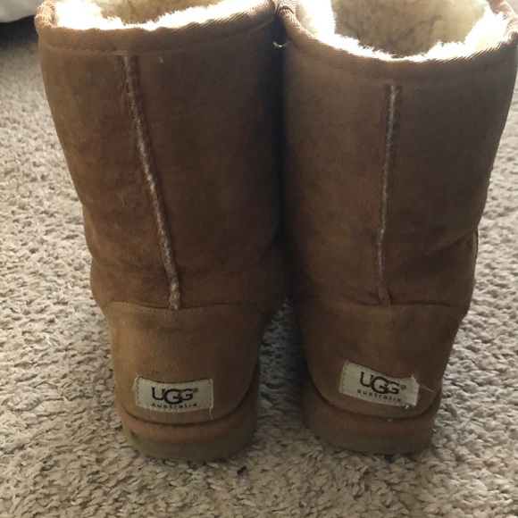Classic Short Chestnut UGG Boots size 8 - Picture 2 of 6